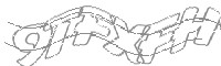Check code
