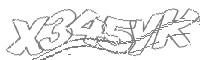 Check code